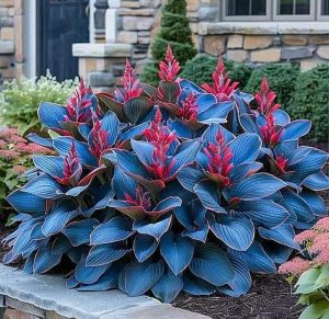 Хоста Грин Фог купить по цене от 669р. в интернет-магазине «Посадика» с доставкой почтой в в Ахтубинске и по всей России – [изображение №1].