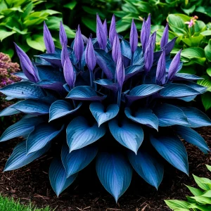 Хоста Сикрет Гров купить по цене от 570р. в интернет-магазине «Посадика» с доставкой почтой в в Ахтубинске и по всей России – [изображение №1].